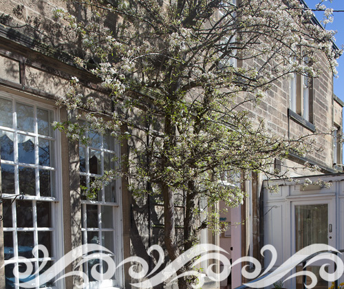 Residential care in North Berwick